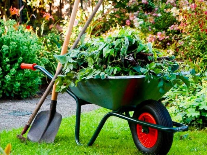 Garden maintenance services