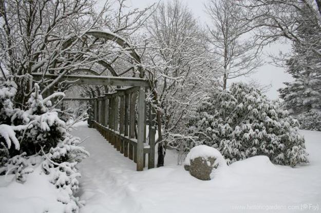 backyard for winter